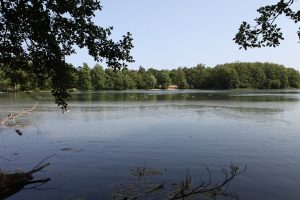 Groß Glienicke©BildArt Media (3)