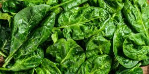 Spinat - gesundes Grün