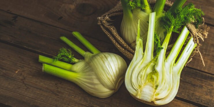 Fenchel, das Mittelaltergemüse