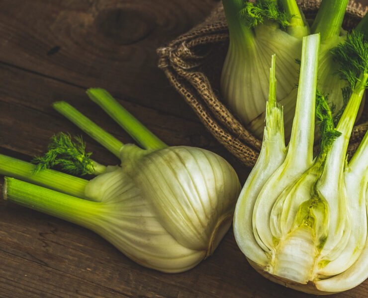 Fenchel, das Mittelaltergemüse