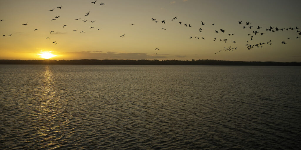 Park am See Außenansicht Blick zum Tollensesee