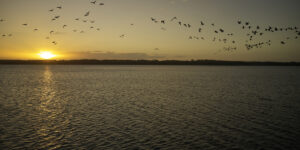 Park am See Außenansicht Blick zum See