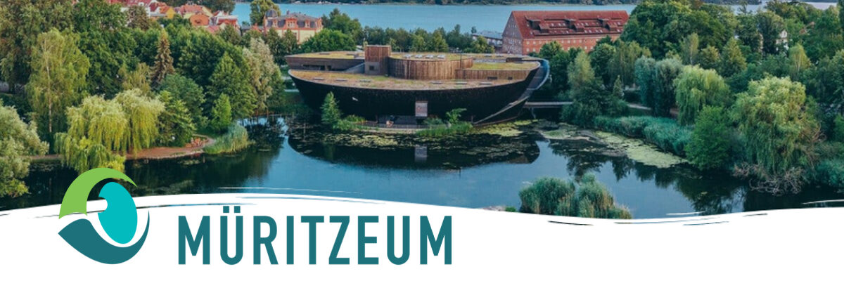Müritzeum NaturErlebnisZentrum (1)